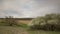 The movement of the thunderclouds over the fields of winter wheat in early spring in the vast steppes of the Don.