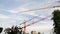 Movement of Tower Crane