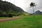 Movie scenes from kahana valley