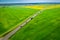 Moving cars on a fast road between rape fields