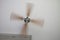 Moving ceiling fan