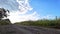 Moving clouds over the rural road and field of young sunflowers