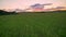 Moving footage with different angles of beautiful sunset above wheat or rye field, pink sky with clouds