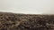 Moving Forward Over Lava Field Ridge Revealing Larger Field Of Lava Rock