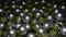 Moving metal balls in stream. Design. Bunch of moving 3d metal balls in stream. 3D metal balls moving in pile