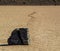 Moving Stones at the Playa Racetrack in Death Valley California with a depth of field