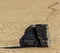 Moving Stones at the Playa Racetrack in Death Valley California with a depth of field