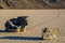 Moving Stones at the Racetrack Playa in Death Valley California with a depth of field