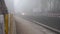 Moving Traffic in Dense Fog with Headlights, Rajpur Road