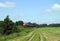 Moving train , field and stork birds, Lithuania