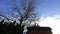 Moving White Clouds Timelapse with Blue Sky and Red Barn in Winter 1080p