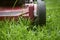 Mow lawn low angle of lawnmower cutting grass.