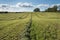 Mowed agricultural field.