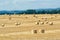 Mowed cornfield with straw bales