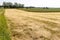 Mowed grass at the farmer's field. Haymaking on a small field in the countryside