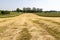 Mowed grass at the farmer's field. Haymaking on a small field in the countryside