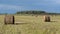 Mowed grass in the field. Harvested in haystacks. Bright sunny day.