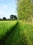 Mowed grass path on the Dutch countryside