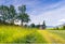 Mowed grass at rural tyrol meadow