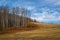 Mowed Meadow, Aspen and the Blue Sky