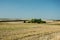 Mowed and plowed fields, trees and cloudless sky