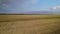 Mowed wheat field, faded rapeseed, blue sky with white clouds. Beautiful rural landscape, moving toward the horizon, top view.