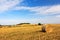 Mowed wheat field with round straw bales