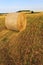 Mowed wheat field with round straw bales