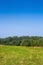 Mowing field in Sunny day