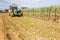 Mowing of fodder corn using modern agricultural equipment on farm