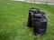 Mowing a household garden lawn with black bag of grass clippings