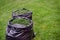 Mowing a household garden lawn with black bag of grass clippings