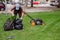 Mowing a household garden lawn with black bag of grass clippings