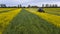 Mowing rapeseed tractor aerial photography with a drone