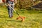 Mowing trimmer - worker cutting grass in green yard at sunset