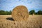 On  mown grain field lie round pressed bales of straw and the sky is blue