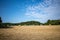 On  mown grain field lie round pressed bales of straw and the sky is blue