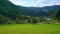 Mown pasture panorama, Carpathians, Dzembronia, Ukraine