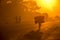 A Mozambican cyclist carrying large bags of coal to market at sunrise