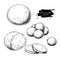 Mozzarella cheese vector drawing. Hand drawn round piece with baby mozzarella