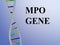 MPO GENE concept