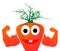 Mr. carrots