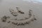 Mr happy sand face