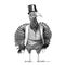 Mr. turkey standing in suit and top hat hand drawn sketch in doodle style