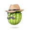 Mr. watermelon with hat, glasses and a black mustache, isolated on white background.