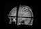 MRI Brain 3D View