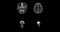 MRI of the brain in different projections. Horizontal, vertical, lateral and top view. MRI brain scanning animation