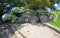 Mrs Macquarie`s chair a hand carved sandstone bench view in Sydney Australia