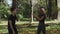 MS Boy and girl jumping and throwing dry leaves in park