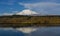 Mt Adams in Spring